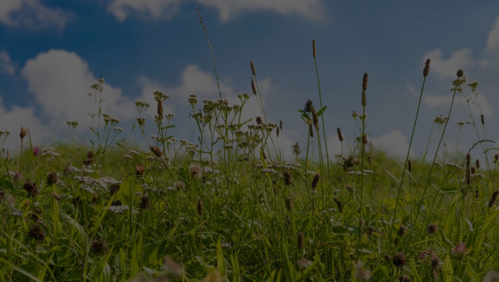 Hay fever injections private GP appointment just health hayfever injection